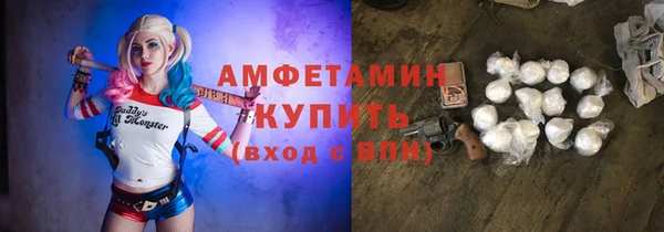 СК Алексин