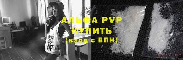 СК Алексин