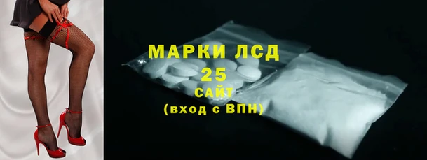 хмурый Алзамай