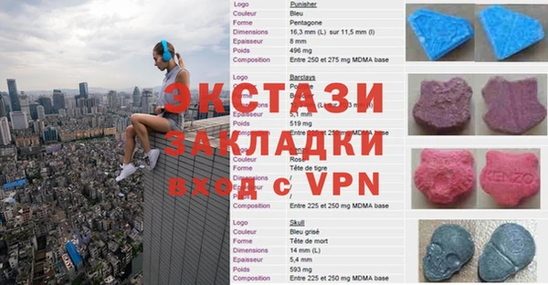 СК Алексин