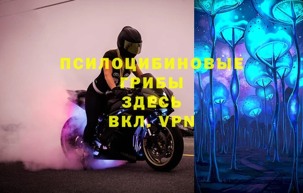 хмурый Алзамай