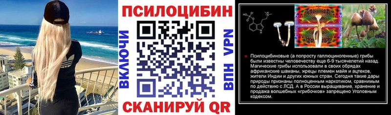 Галлюциногенные грибы Psilocybe  Кириши 