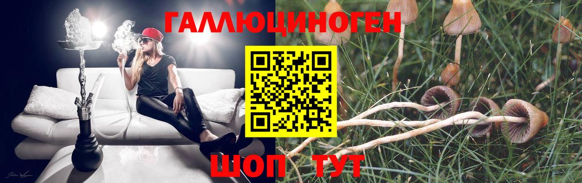 Псилоцибиновые грибы мухоморы Кириши